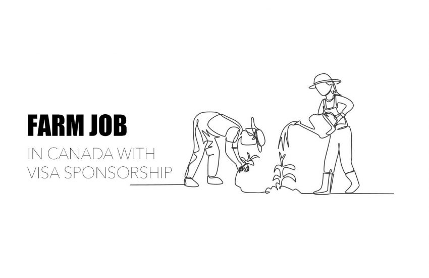 Farm Jobs In Canada With Free Visa Sponsorship