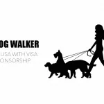Dog Walker Jobs in USA with Visa Sponsorship